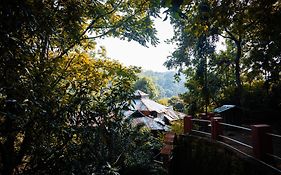 Jungle Ghar,Pachmarhi